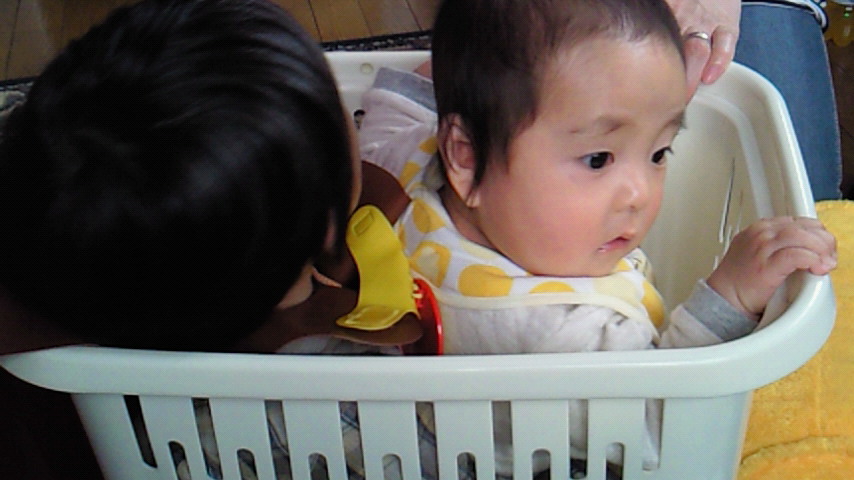 d0149105_9514949.jpg