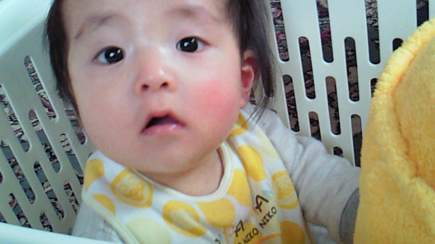 d0149105_951497.jpg