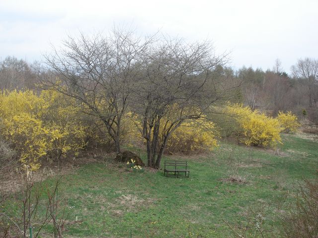 b0148106_714485.jpg