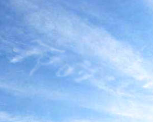 e0103408_151045.jpg