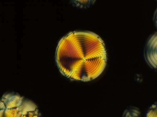 c0164709_8235173.jpg