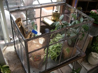c0190010_20272687.jpg
