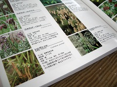 c0190010_20373267.jpg