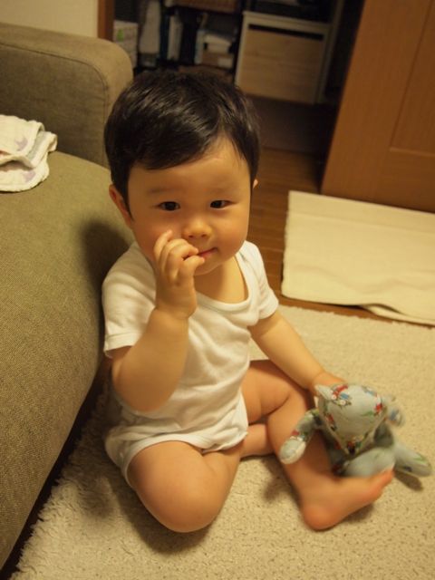 a0151615_0552770.jpg