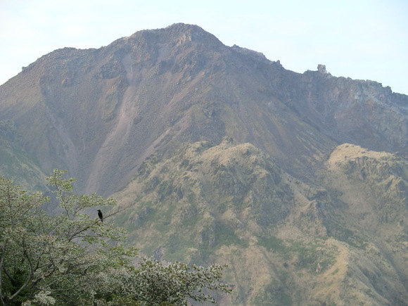 d0221319_149796.jpg