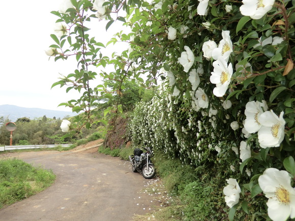 d0221319_224861.jpg