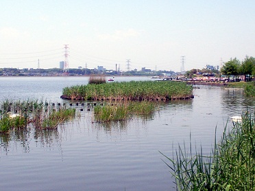 a0053420_1031331.jpg