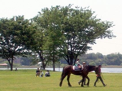 a0053420_10343720.jpg