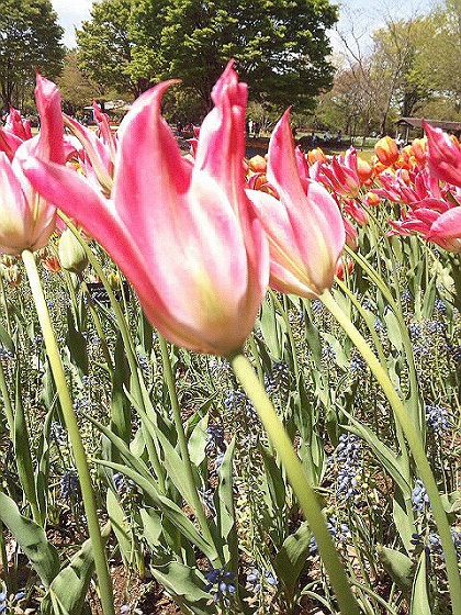 b0199924_18431172.jpg