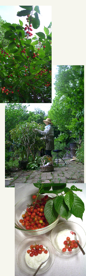 d0043225_21182051.jpg