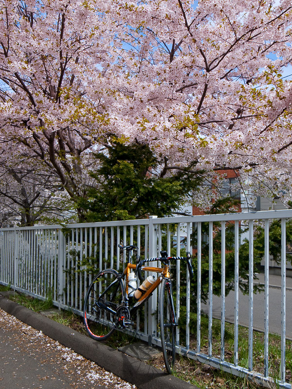 b0085526_1413549.jpg