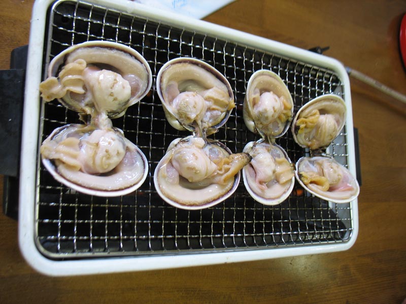 c0208328_142324.jpg