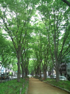 e0206828_1217365.jpg