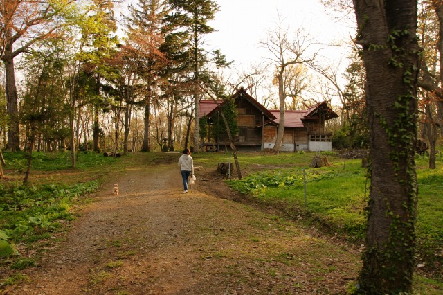 f0046128_612131.jpg