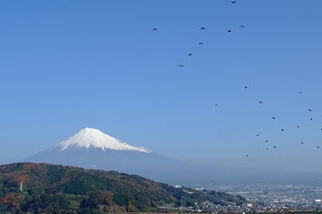c0051529_134234.jpg