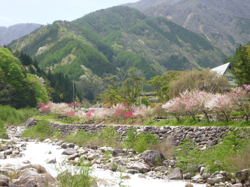 b0138430_13164890.jpg