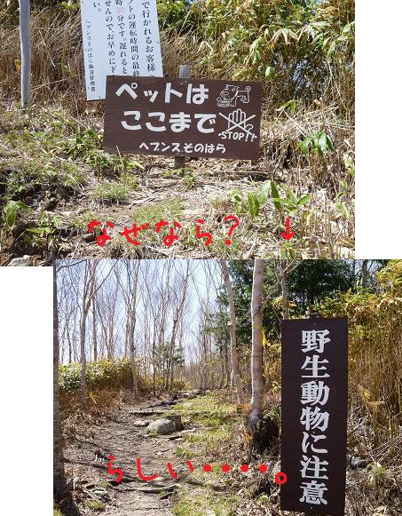 b0138430_13564040.jpg