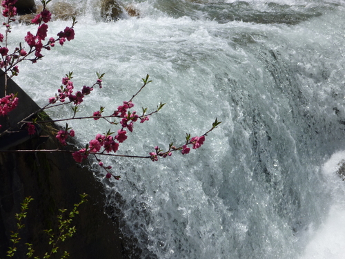 b0138430_1451559.jpg