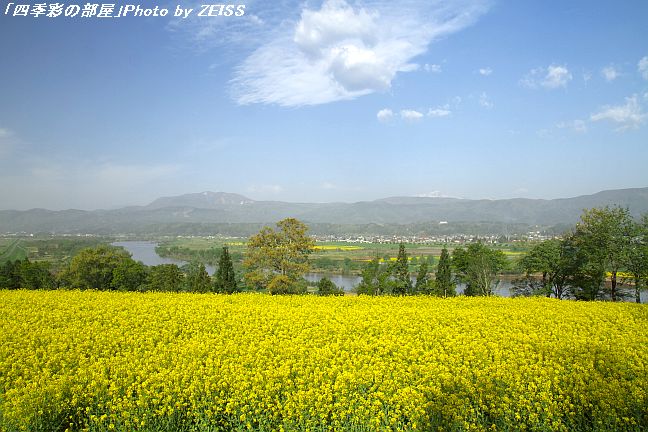 a0195032_21274065.jpg