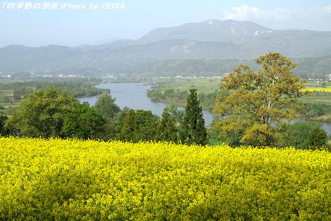 a0195032_21282790.jpg