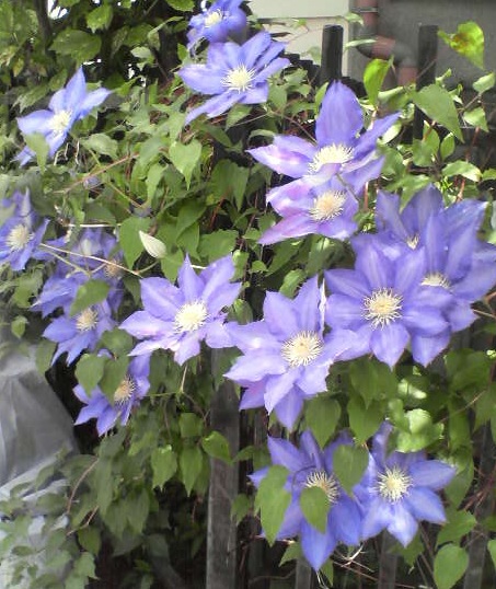 f0237037_11241699.jpg