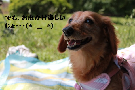 c0206342_21231815.jpg