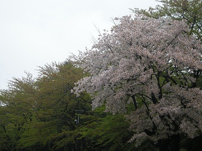 b0157246_804595.jpg