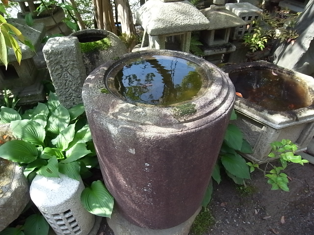 e0126548_9202421.jpg