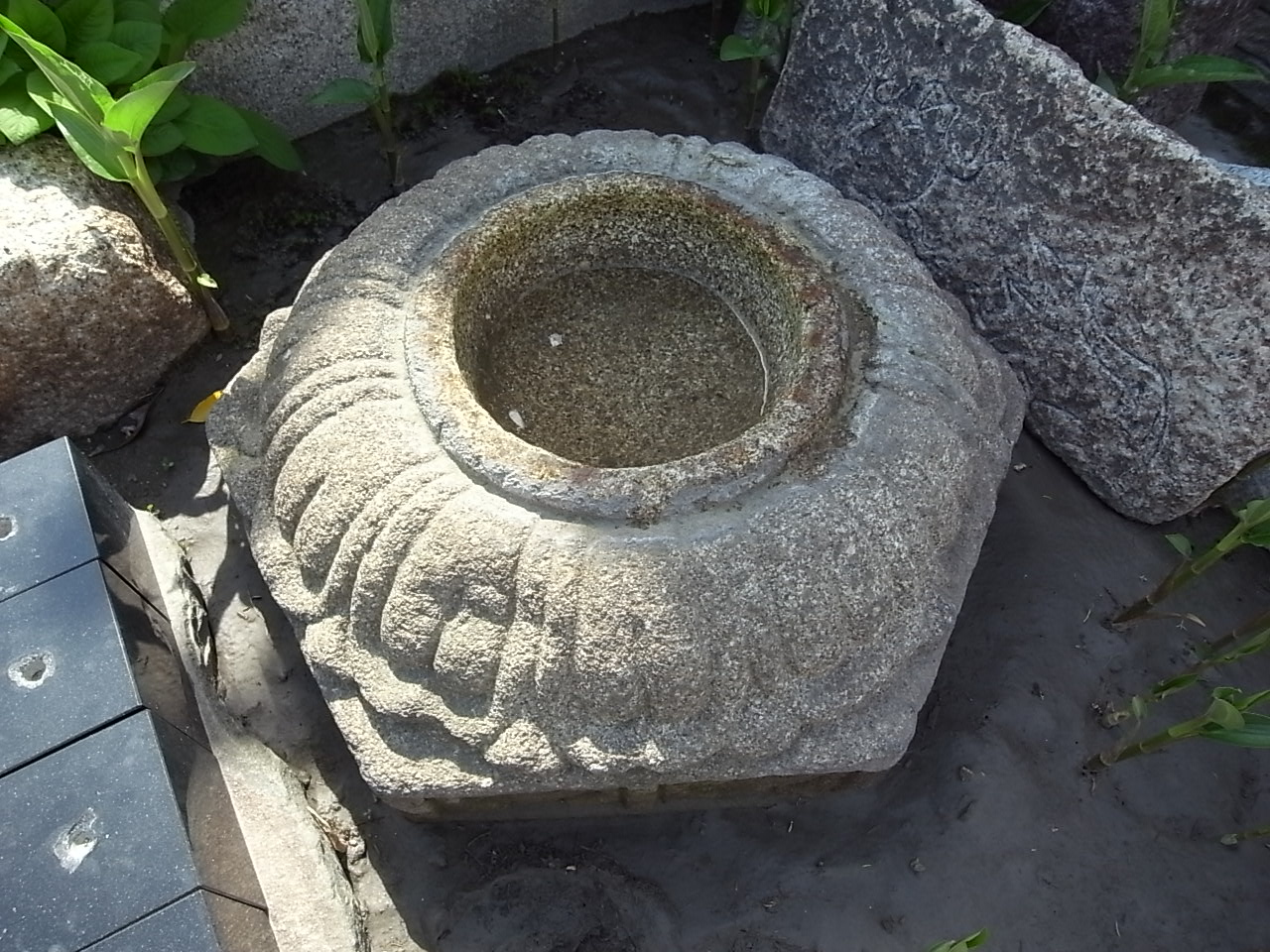 e0126548_992151.jpg