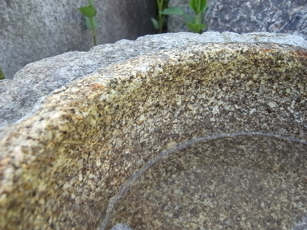 e0126548_995186.jpg