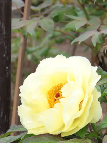 e0017051_235779.jpg