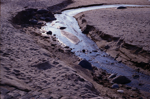 a0179552_235633100.jpg