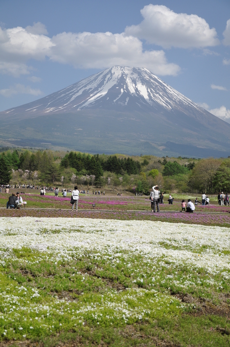 f0238463_2313039.jpg