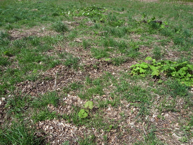 b0130166_22235149.jpg