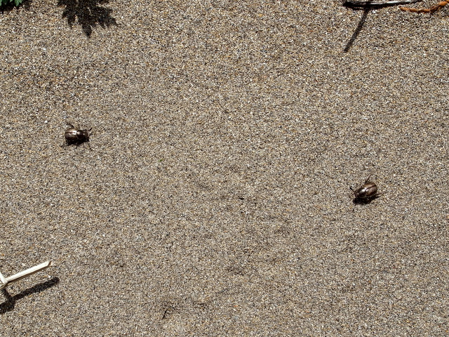 b0130166_2223515.jpg
