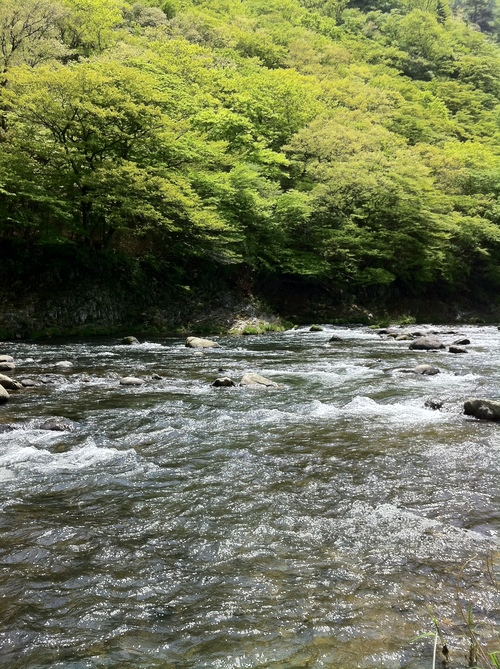 e0151566_21312081.jpg