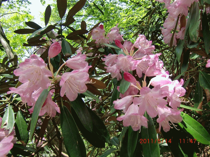 f0016066_16331999.gif