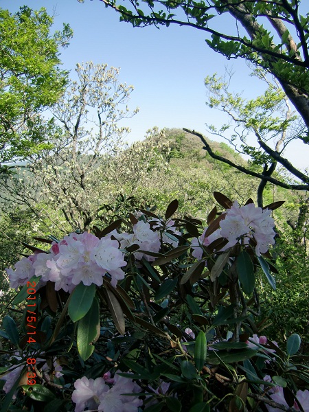 f0016066_1742572.jpg