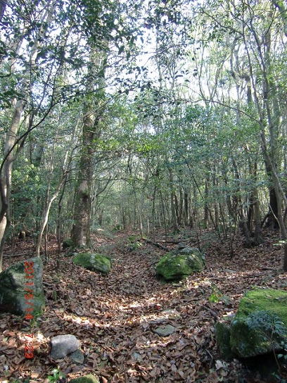 f0016066_17444852.jpg