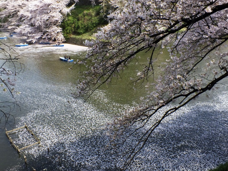b0131167_2251519.jpg