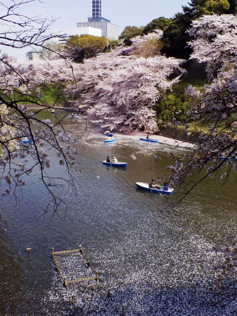 b0131167_2251576.jpg