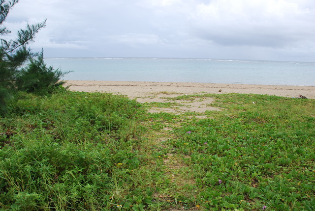 b0174068_0595451.jpg