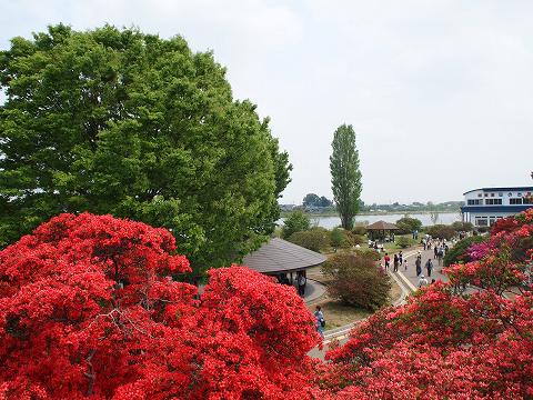 e0045768_2335892.jpg