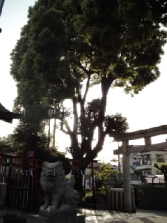 a0115270_4194917.jpg