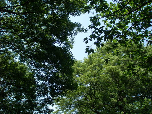 e0169470_16124920.jpg
