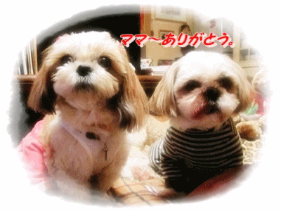 f0213476_10252691.gif