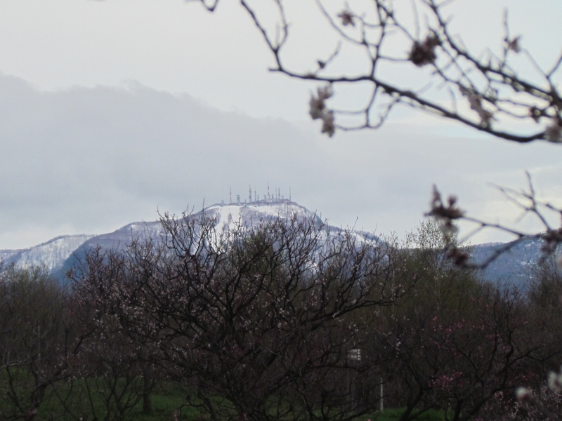 c0183777_1517655.jpg