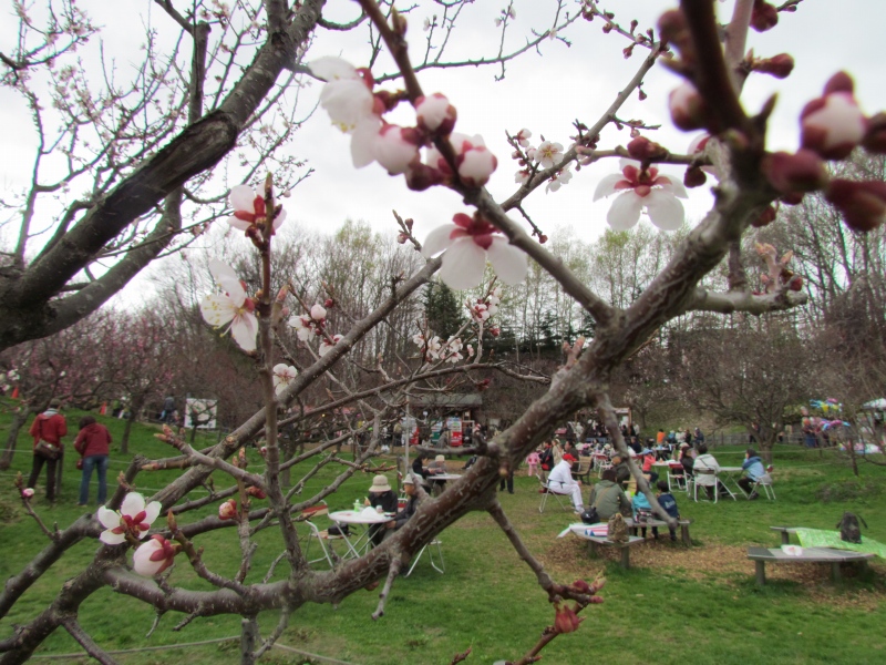 c0183777_15222013.jpg