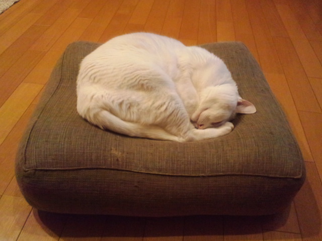 c0021178_050523.jpg
