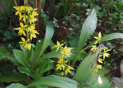 b0159780_9241395.gif